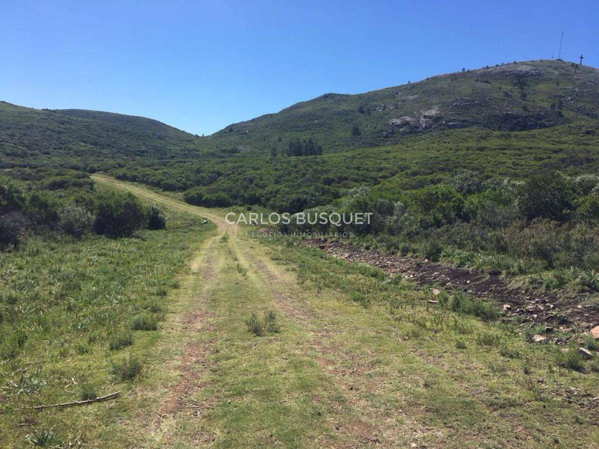 Chacra ID.1667 - Chacras del Cerro - chacras en venta de 5 has. en Pan de Azucar