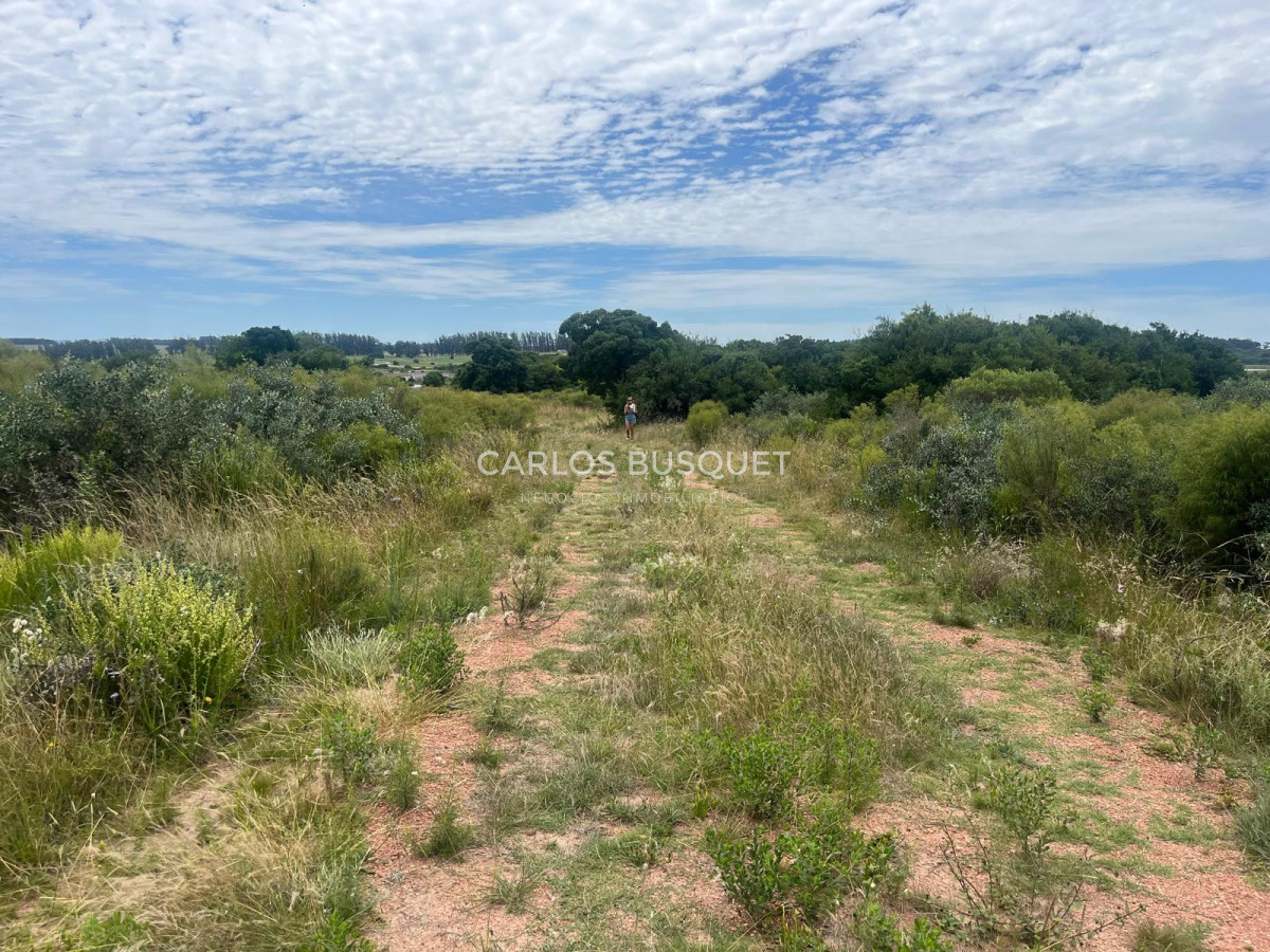 Chacra ID.899 - Chacra de 5 has. en venta en Jose Ignacio