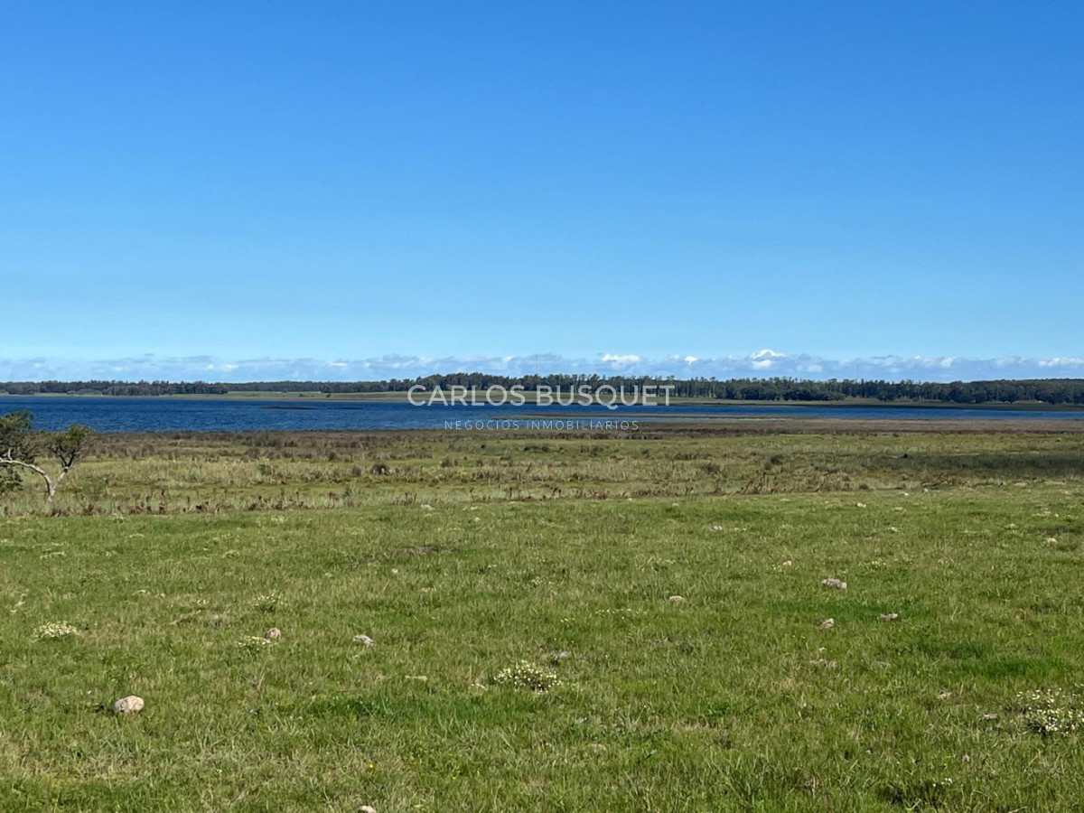 Chacra ID.1552 - Venta campo de 26 hectáreas, en José Ignacio con vista a la Laguna