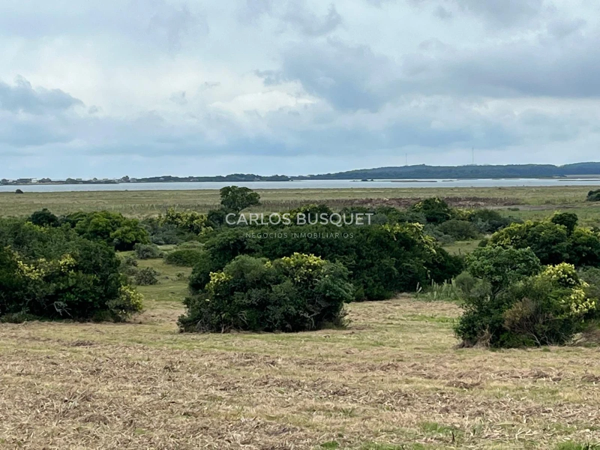 Chacra ID.1047 - Chacra de 7 has. en Venta en José Ignacio 