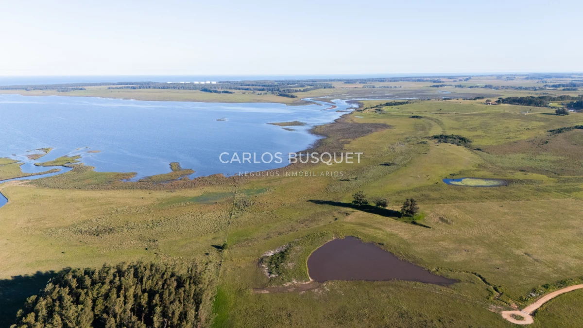 Chacra ID.1654 - Venta Chacra de 30 has. con Costa de Laguna de Jose Ignacio 