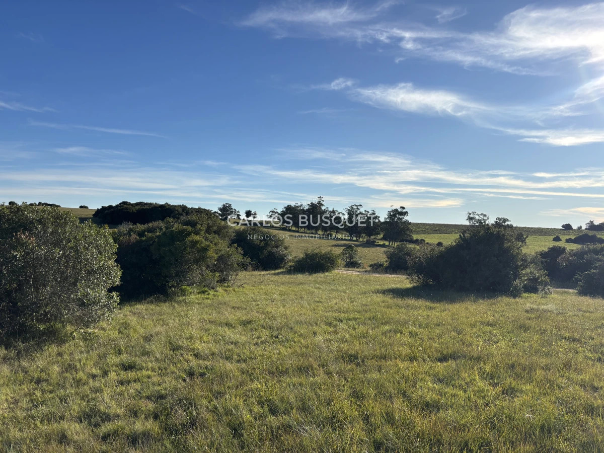 Chacra ID.1128 - Chacra de 5 has. en Jose Ignacio, Las Coronillas 