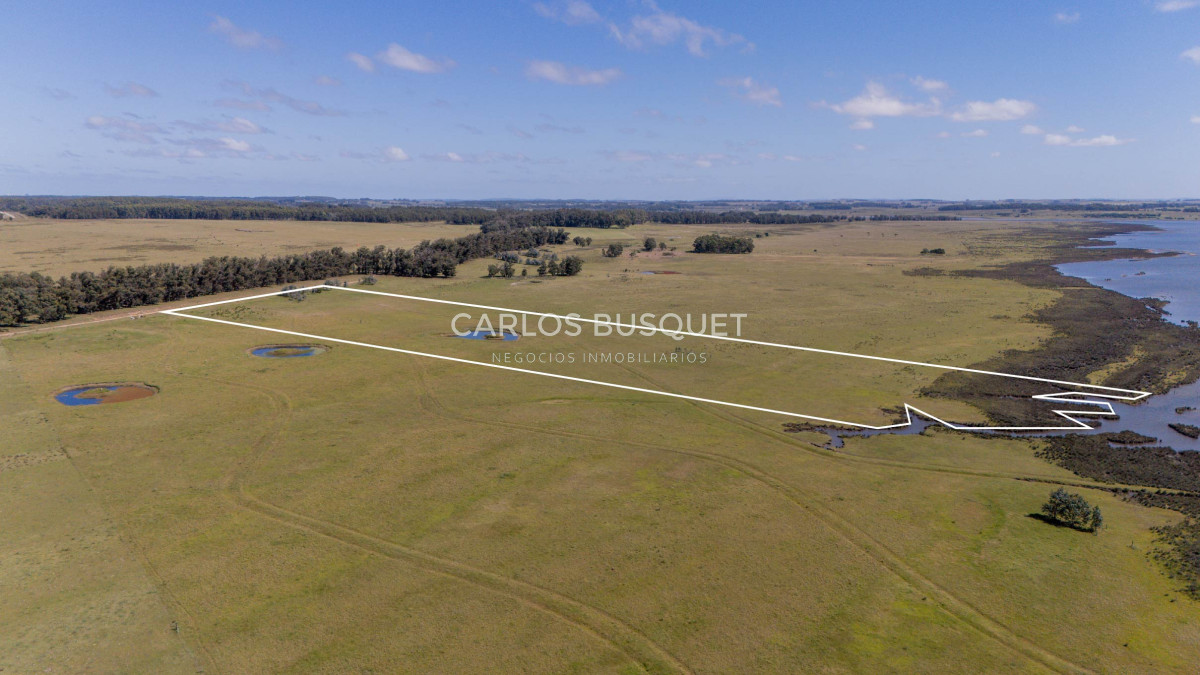Chacra ID.16 - Chacra de 5 has. en venta en Jose Ignacio, con costa de laguna 