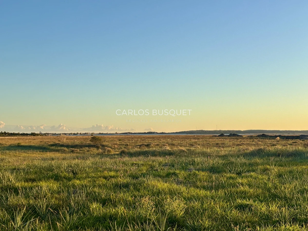 Chacra ID.1047 - Chacra de 7 has. en Venta en José Ignacio 