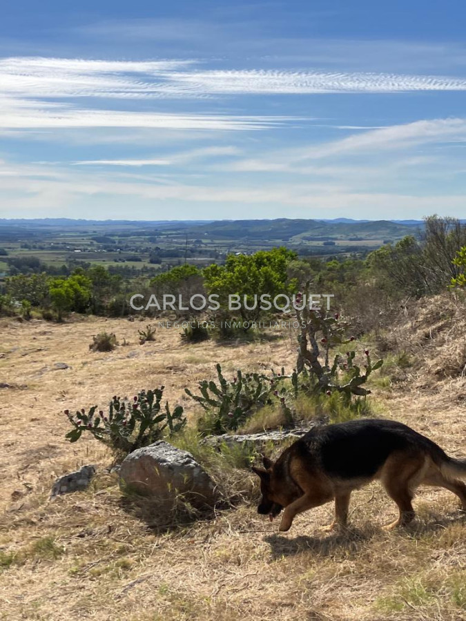 Chacra ID.1667 - Chacras del Cerro - chacras en venta de 5 has. en Pan de Azucar