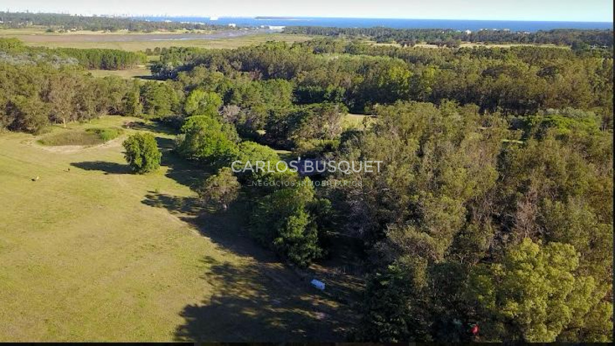 Chacra ID.496 - Chacra en venta de 5 has. en Punta Ballena, Camino Lussich 
