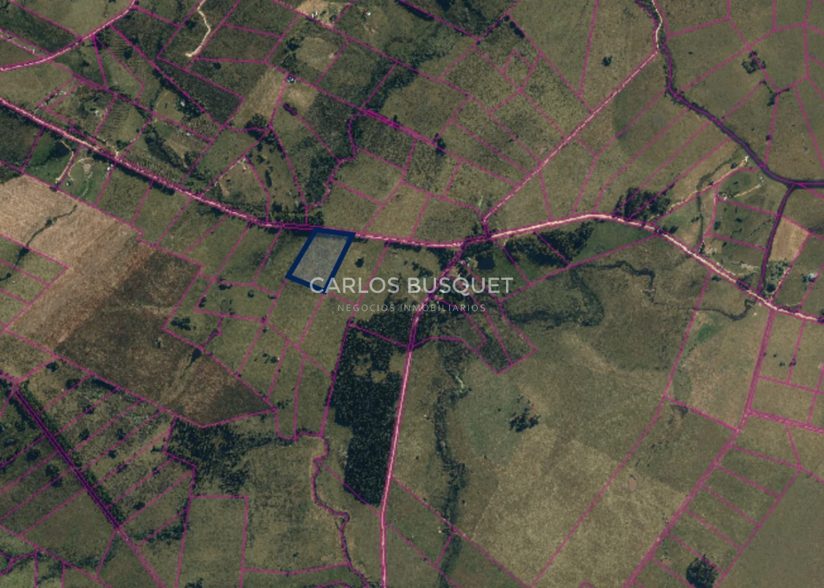 Chacra ID.1548 - Chacra de 5 has. en venta en Camino Medellin