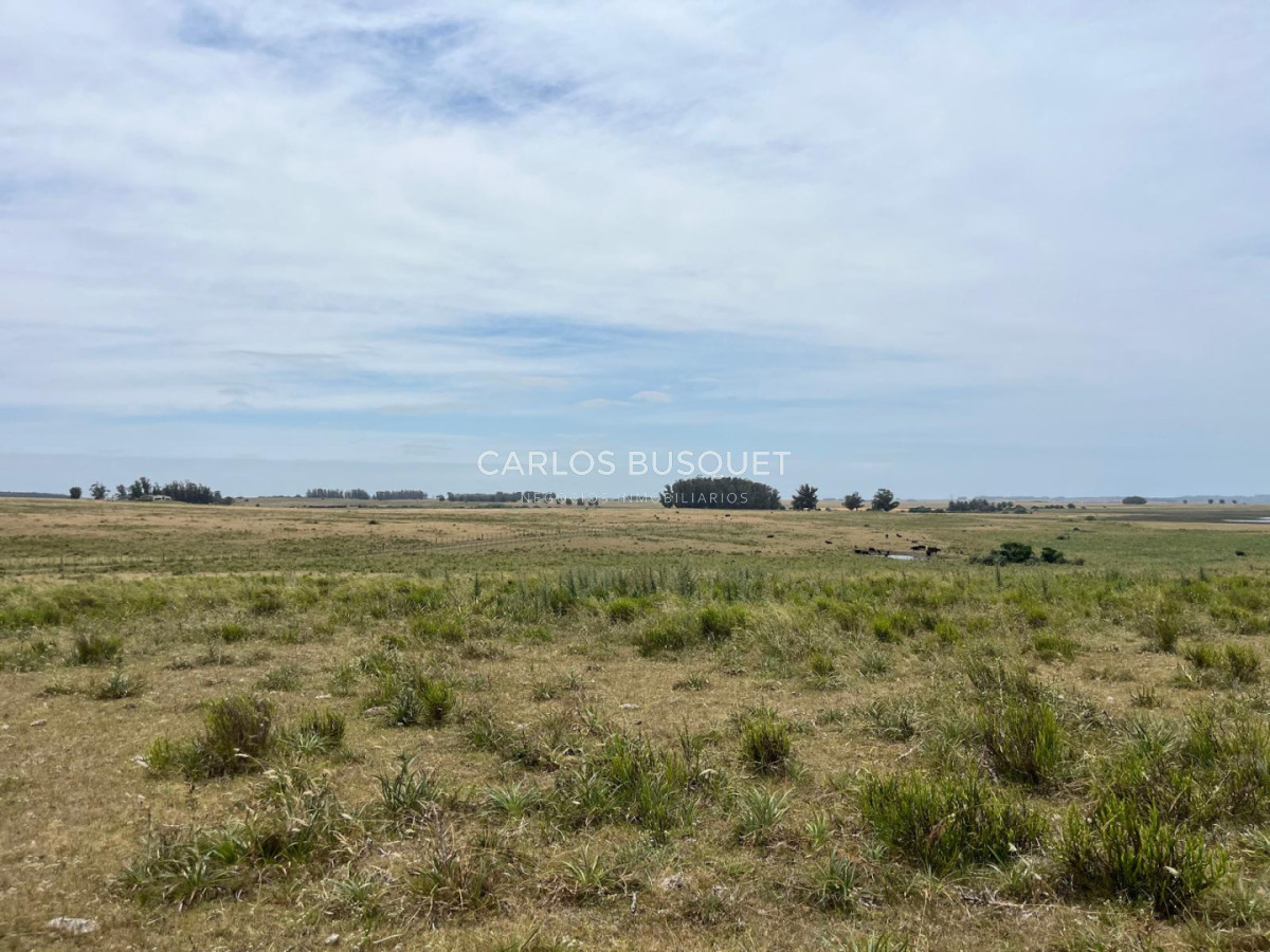 Chacra ID.1552 - Venta campo de 26 hectáreas, en José Ignacio con vista a la Laguna