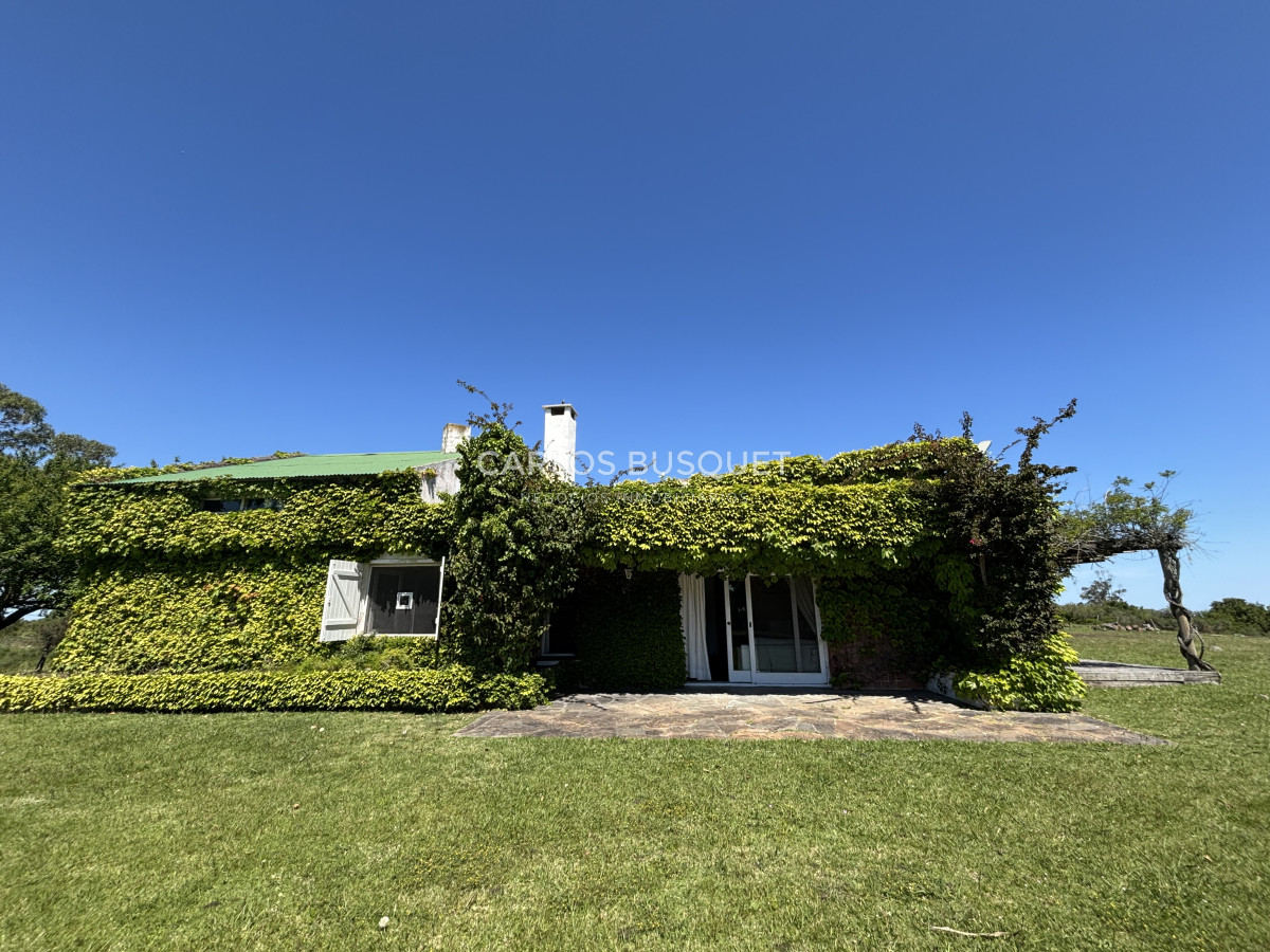 Chacra ID.1406 - Chacra en alquiler temporal de 4 dormitorios en La Barra