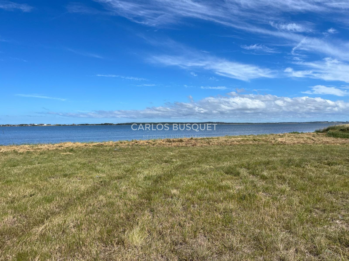 Chacra ID.531 - Chacra en venta de 5 has con costa de Laguna - Jose Ignacio 
