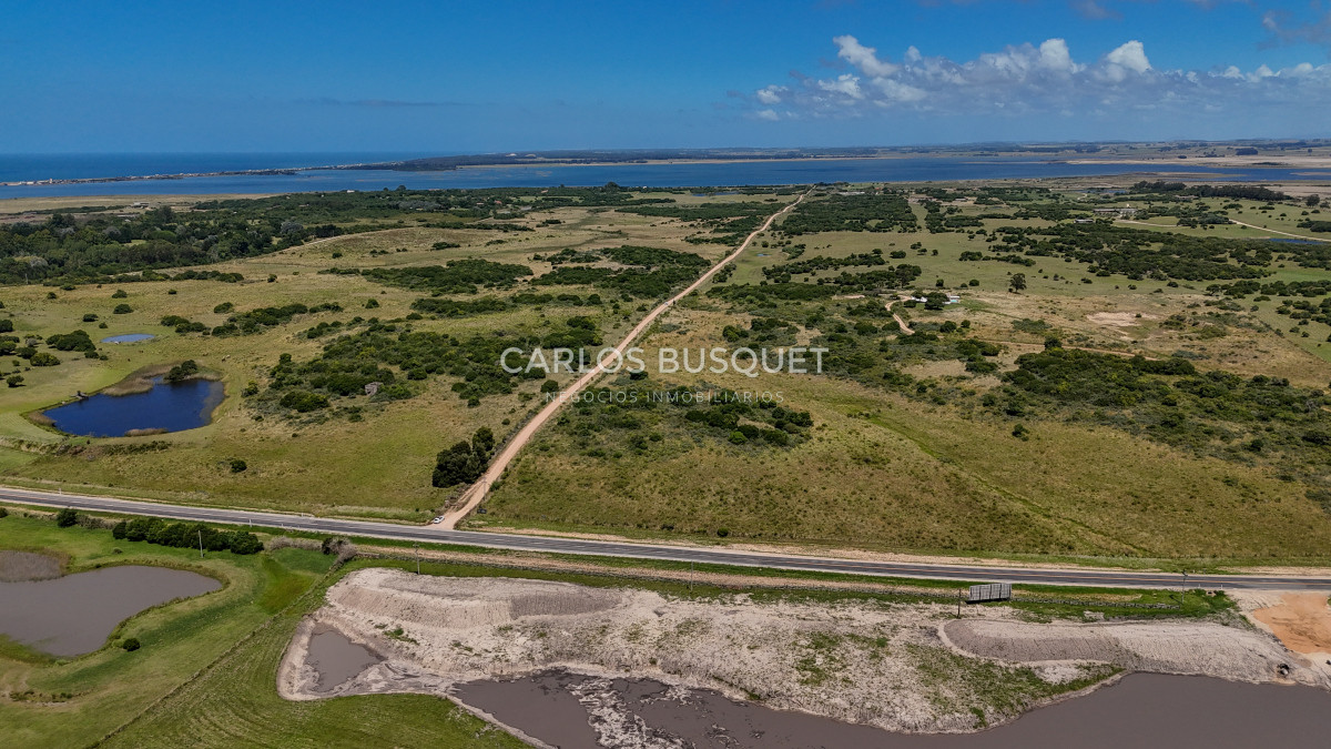 Chacra ID.899 - Chacra de 5 has. en venta en Jose Ignacio