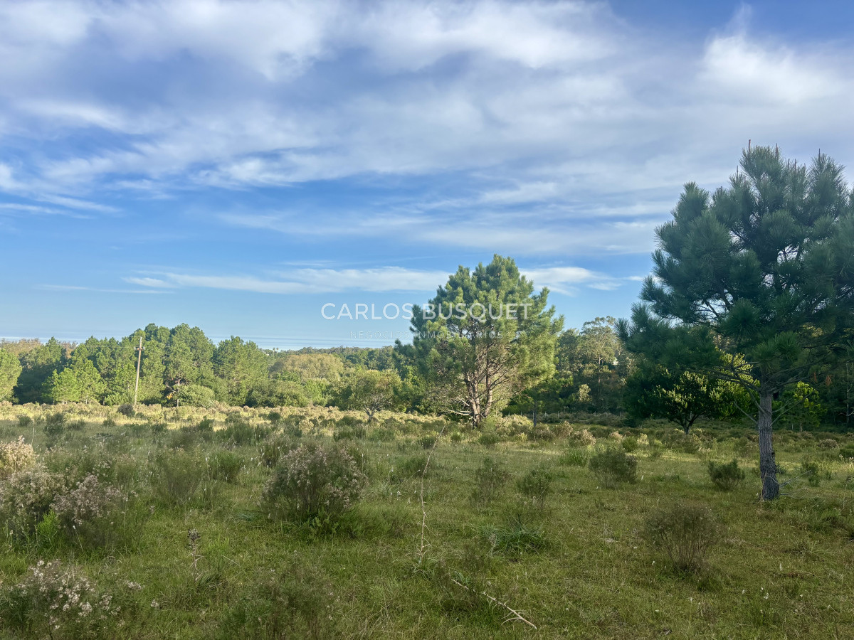 Chacra ID.1044 - Chacra en venta de 8 has. sobre Ruta 104