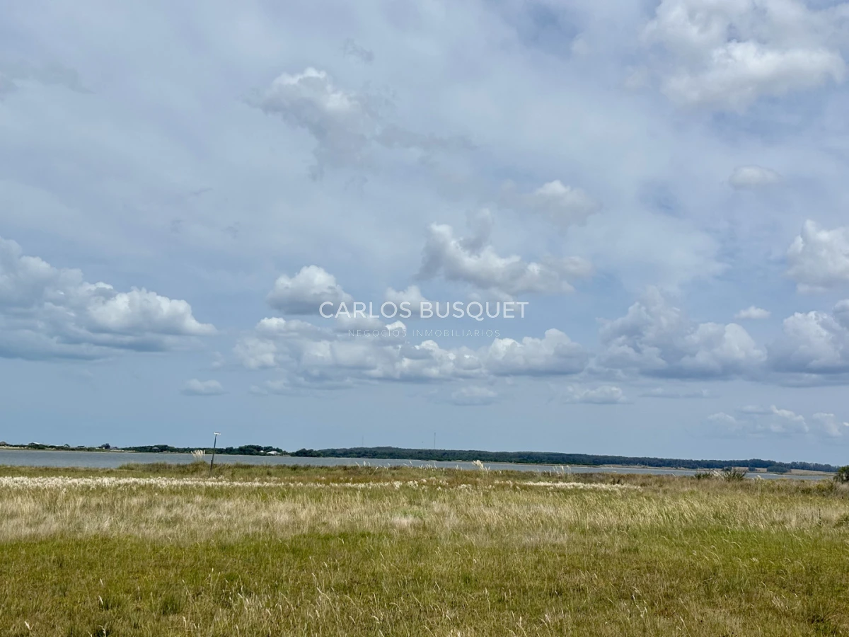 Chacra ID.1533 - Venta Chacra de 24 hectáreas en Jose Ignacio, con costa de Laguna