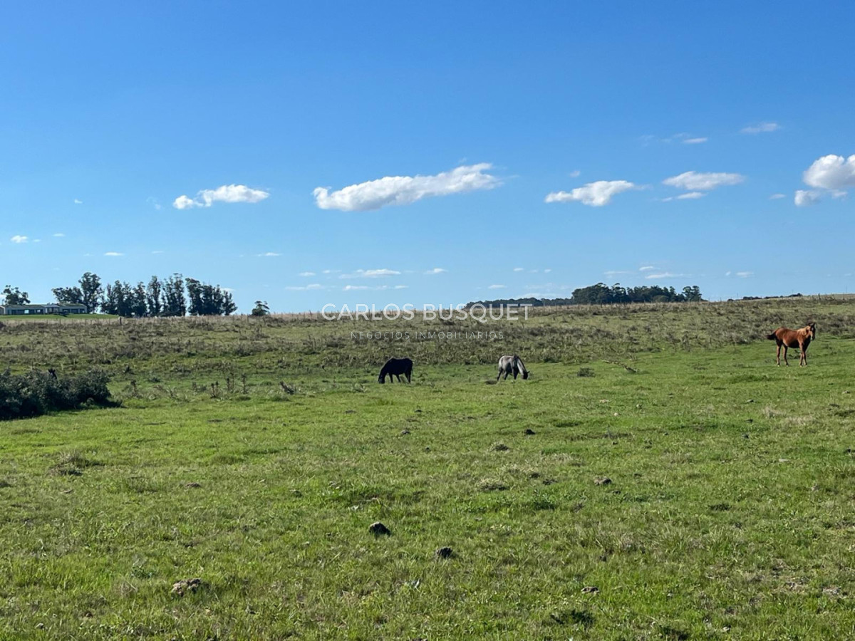 Chacra ID.1552 - Venta campo de 26 hectáreas, en José Ignacio con vista a la Laguna