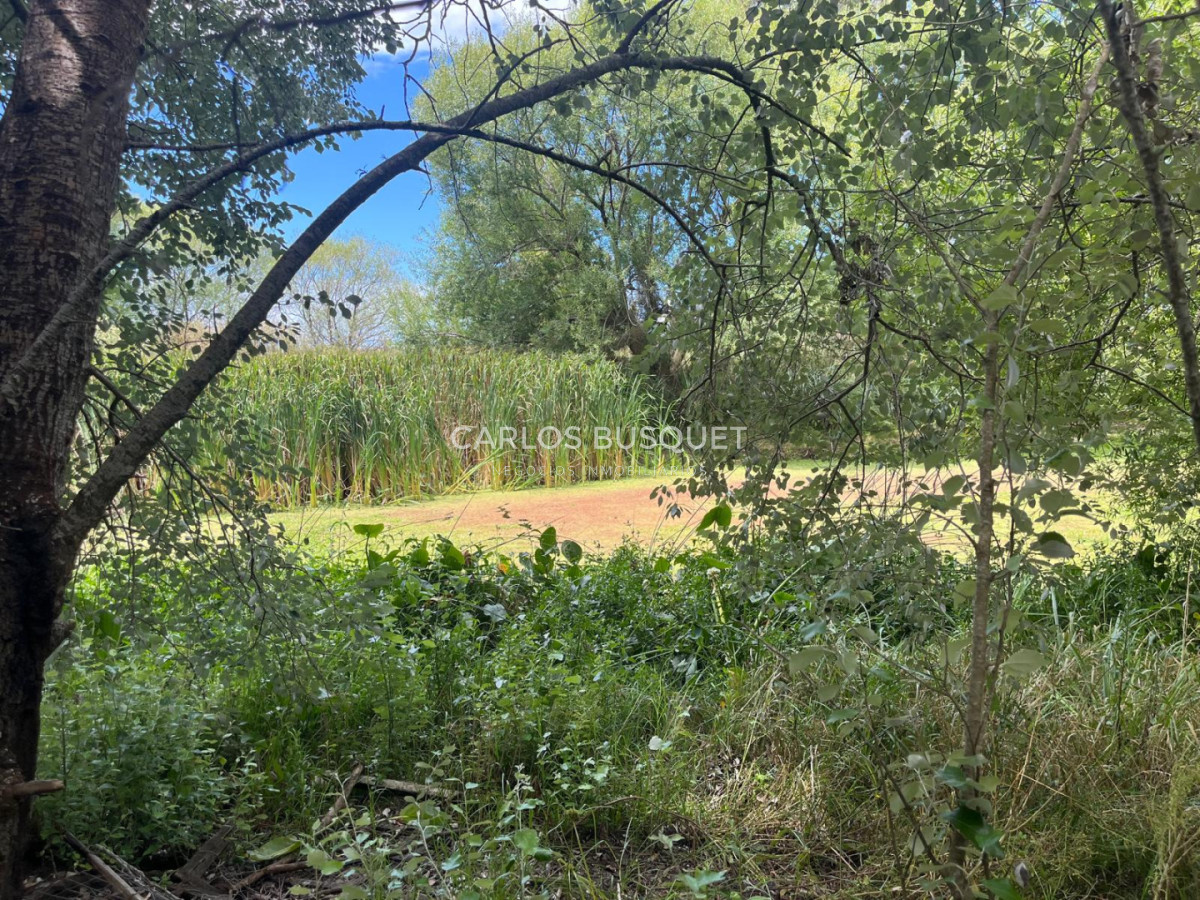 Chacra ID.1496 - Chacra de 5 has. en venta - zona Camino Medellin 