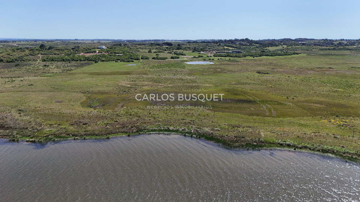 Chacra ID.531 - Chacra en venta de 5 has con costa de Laguna - Jose Ignacio 