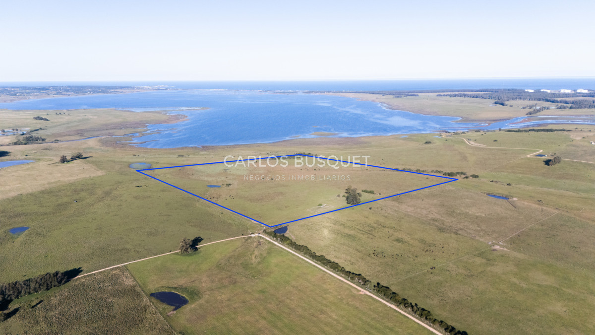 Chacra ID.1552 - Venta campo de 26 hectáreas, en José Ignacio con vista a la Laguna
