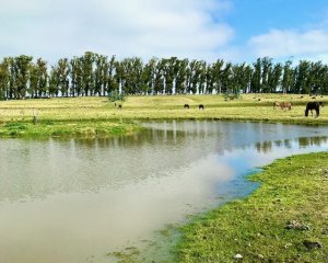 Chacra de 5 has. en venta en Jose Ignacio, con costa de laguna