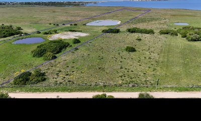 Chacra en venta de 5 has con costa de Laguna - Jose Ignacio