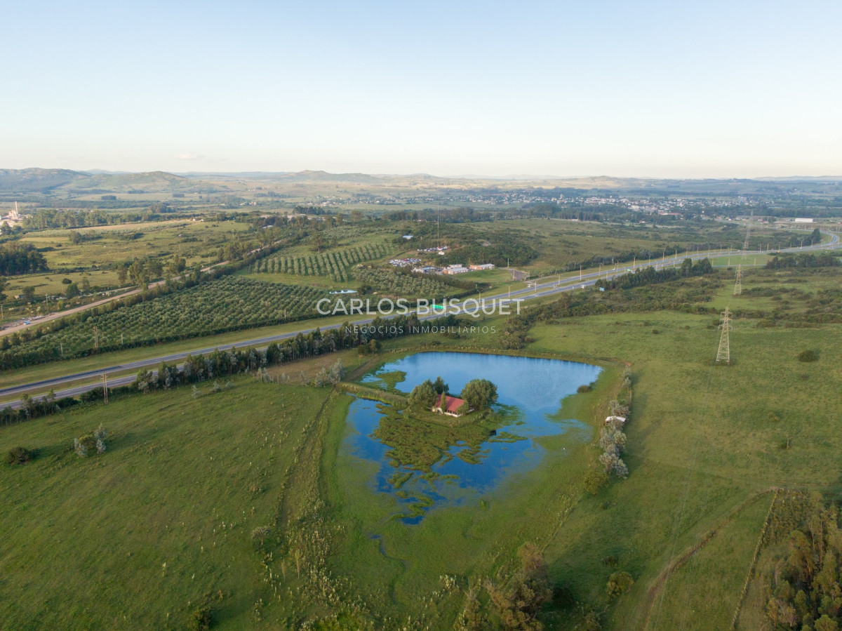 Campo Ref.308 - Campo de 311 has. en venta en zona Pan de Azucar 