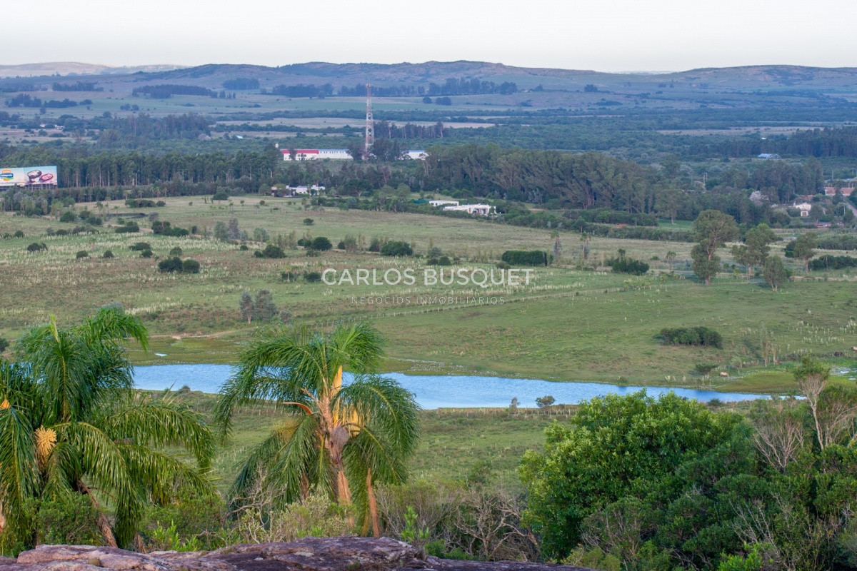 Campo Ref.308 - Campo de 311 has. en venta en zona Pan de Azucar 