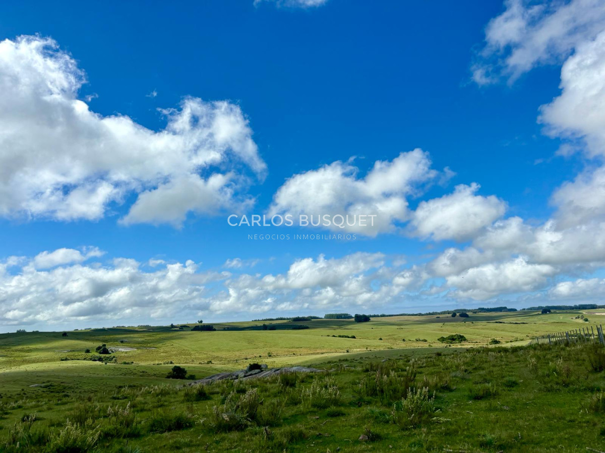 Campo Ref.535 - Campo en venta de 40 has. en Camino Sainz Martinez, Grazon 