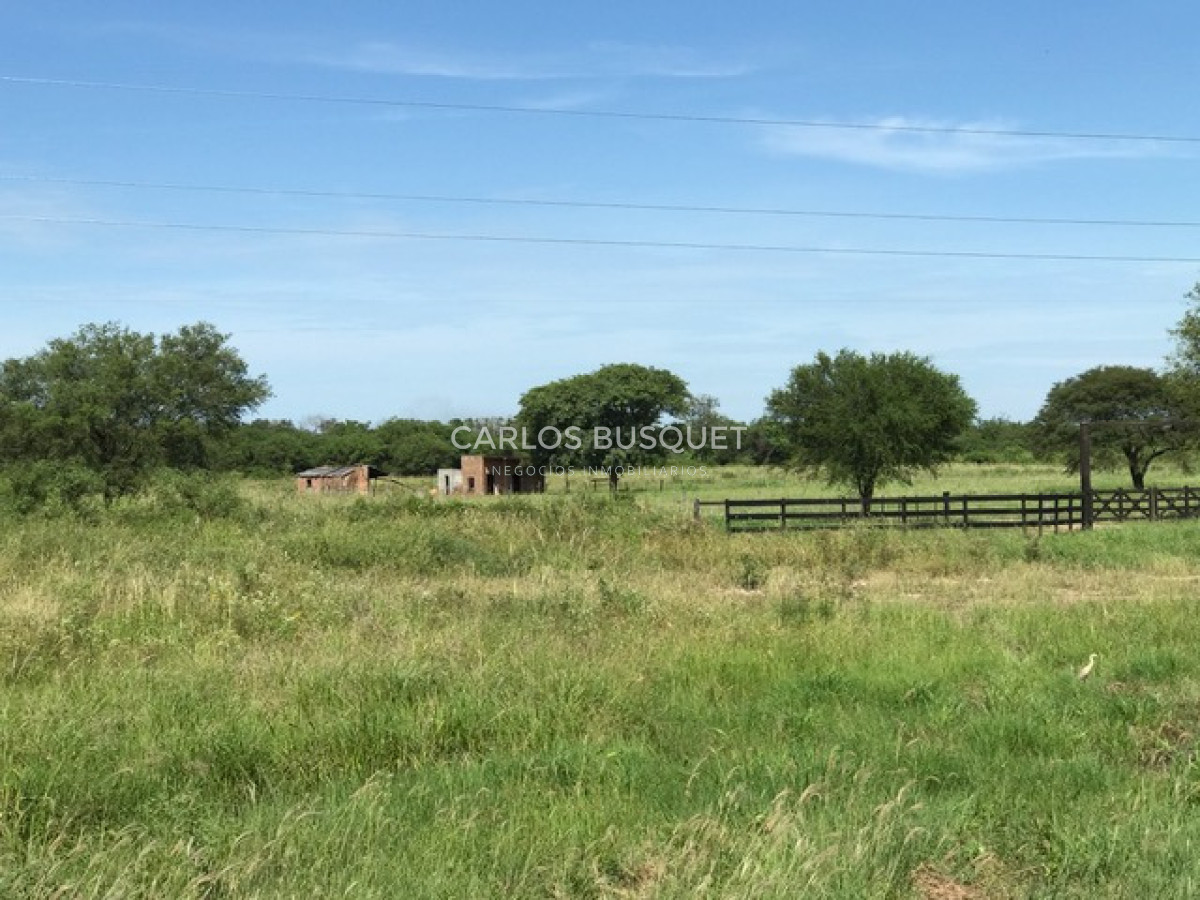 Campo Ref.1702 - Campo de 1.061 has. en venta en Formosa 