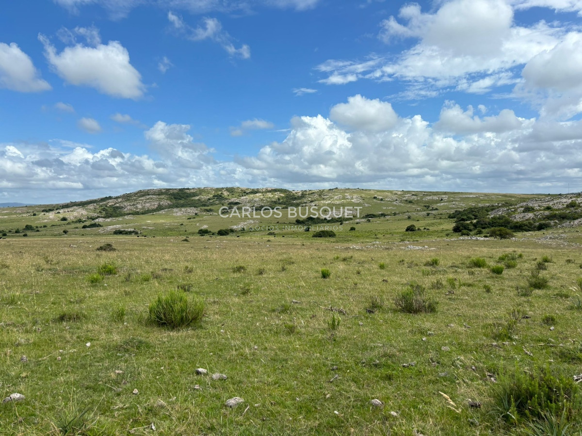 Campo Ref.451 - Campo en venta de 371 has. en Pan de Azúcar 
