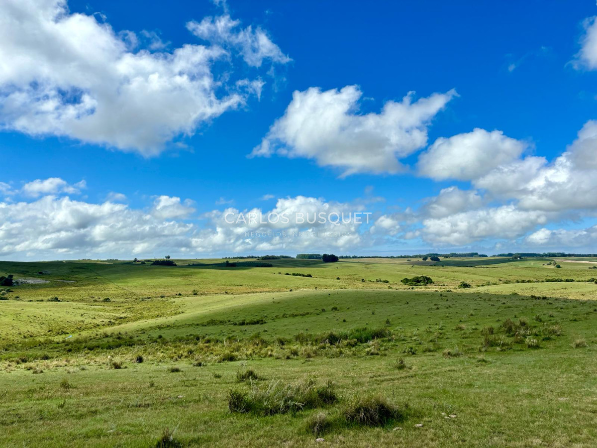 Campo Ref.535 - Campo en venta de 40 has. en Camino Sainz Martinez, Grazon 