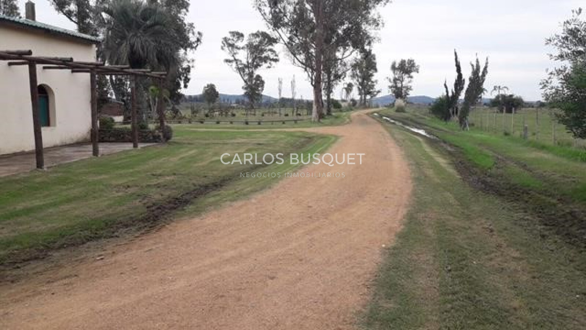 Campo Ref.308 - Campo de 311 has. en venta en zona Pan de Azucar 