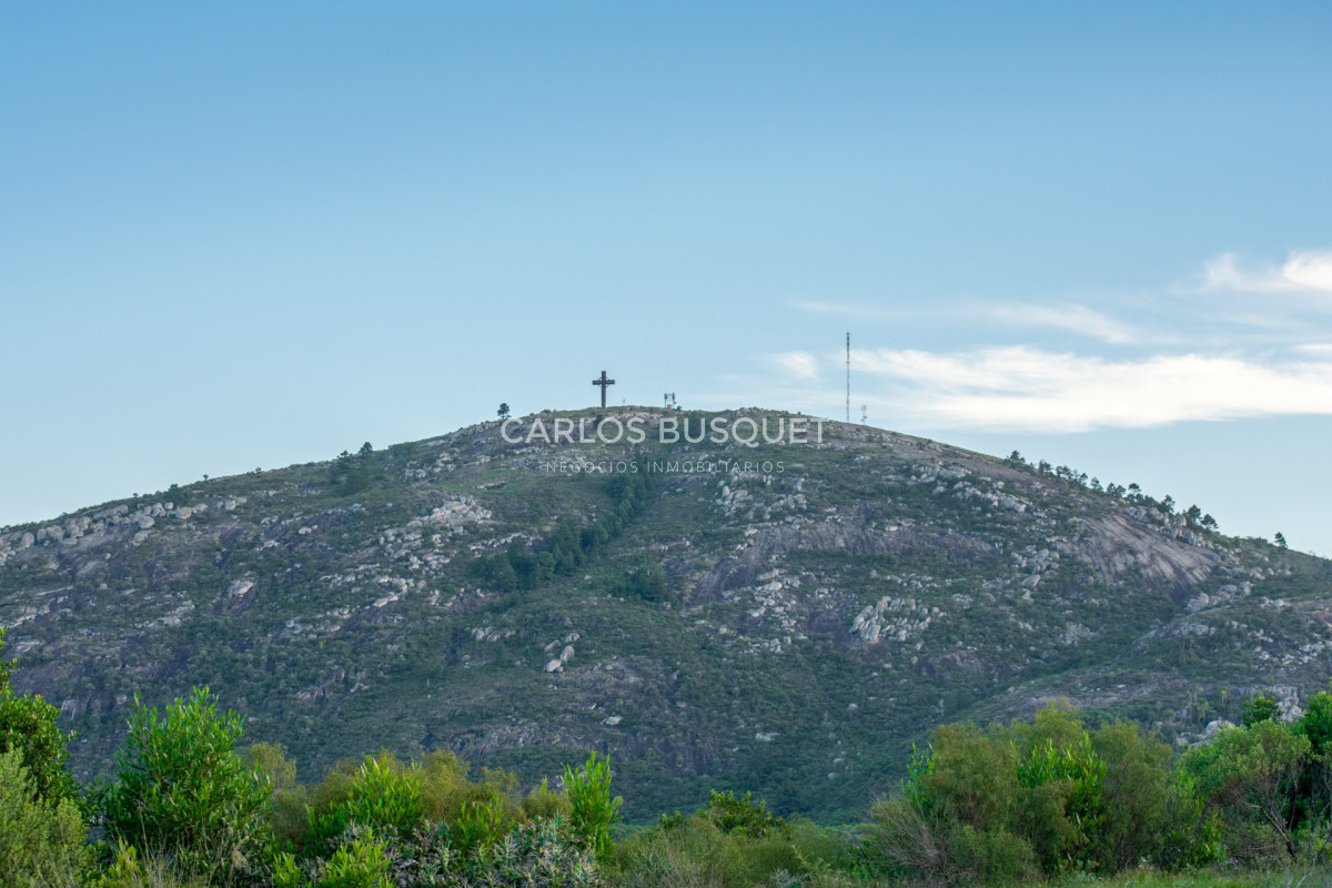 Campo Ref.308 - Campo de 311 has. en venta en zona Pan de Azucar 