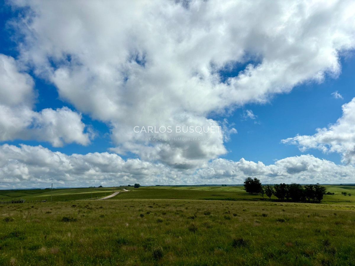 Campo Ref.534 - Campo de 65 has. en venta, en Camino Sainz Martinez, Arco del Sol, Garzon 
