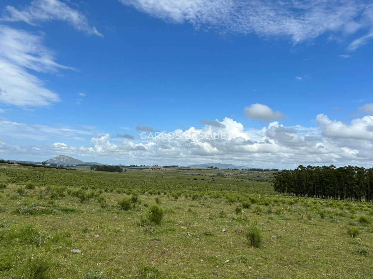Campo Ref.451 - Campo en venta de 371 has. en Pan de Azúcar 