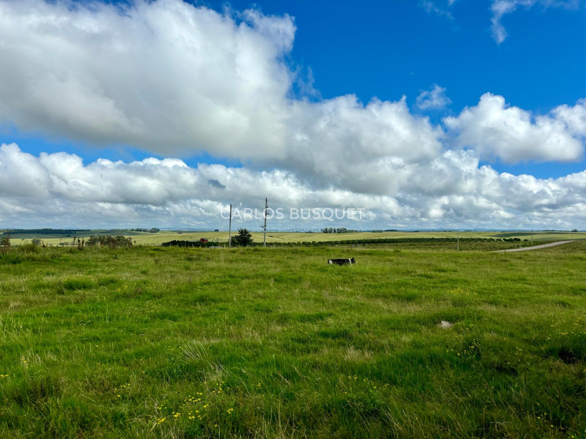 Campo Ref.534 - Campo de 65 has. en venta, en Camino Sainz Martinez, Arco del Sol, Garzon 