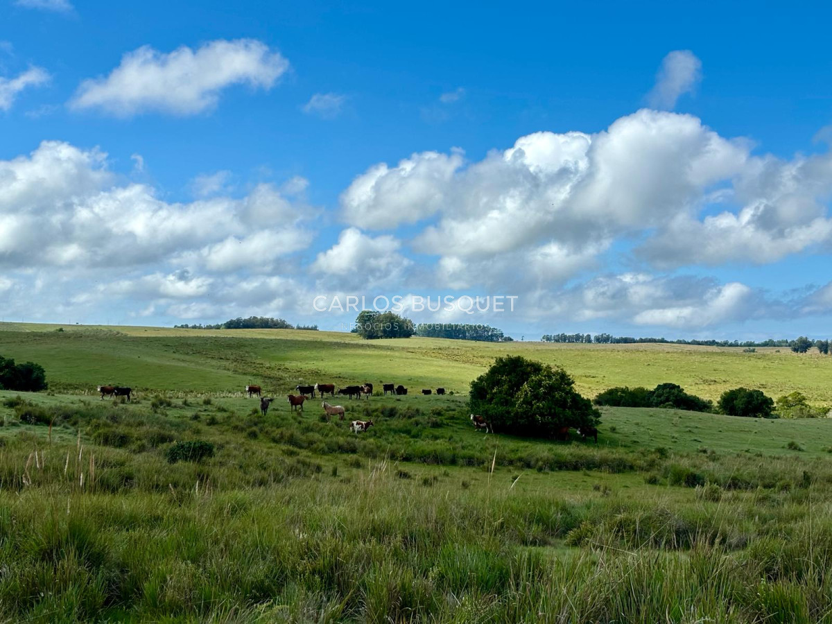 Campo Ref.535 - Campo en venta de 40 has. en Camino Sainz Martinez, Grazon 