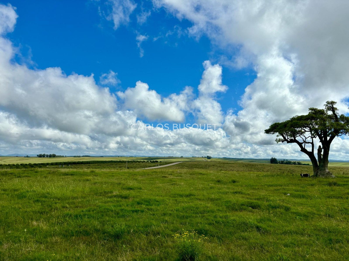 Campo Ref.534 - Campo de 65 has. en venta, en Camino Sainz Martinez, Arco del Sol, Garzon 