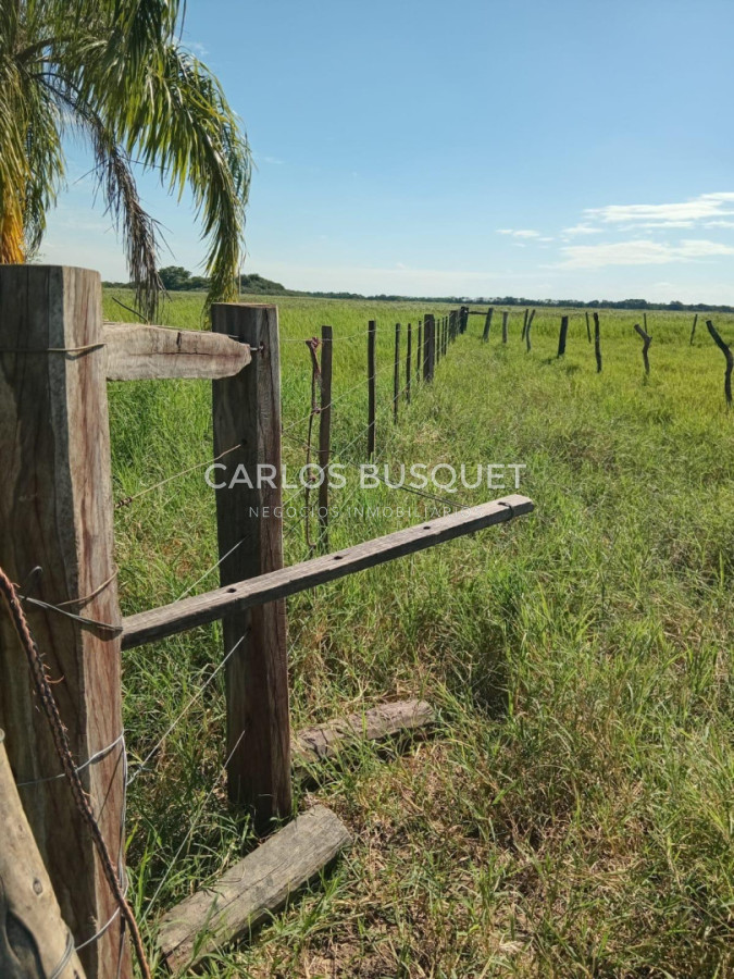 Campo Ref.1703 - Campo de 190 has. en venta en Formosa
