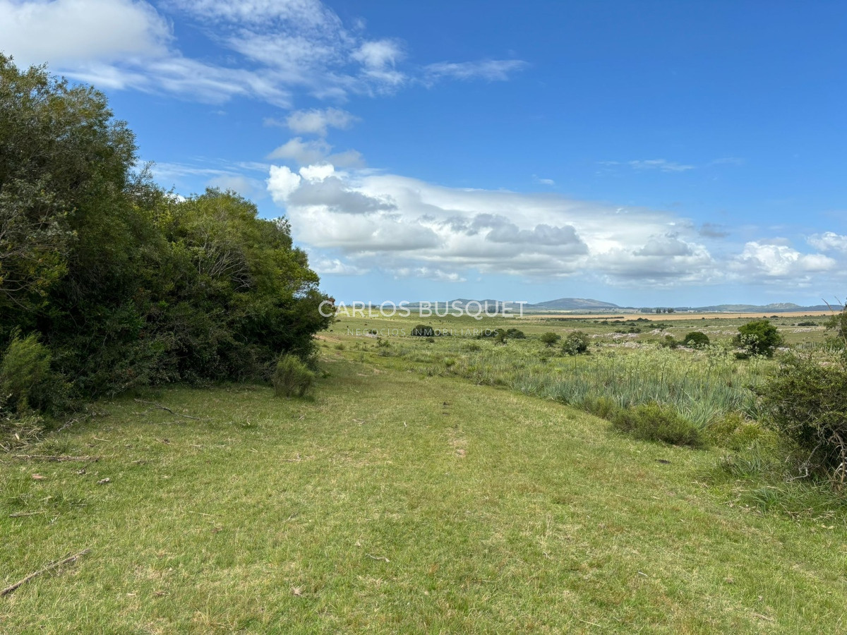 Campo Ref.451 - Campo en venta de 371 has. en Pan de Azúcar 