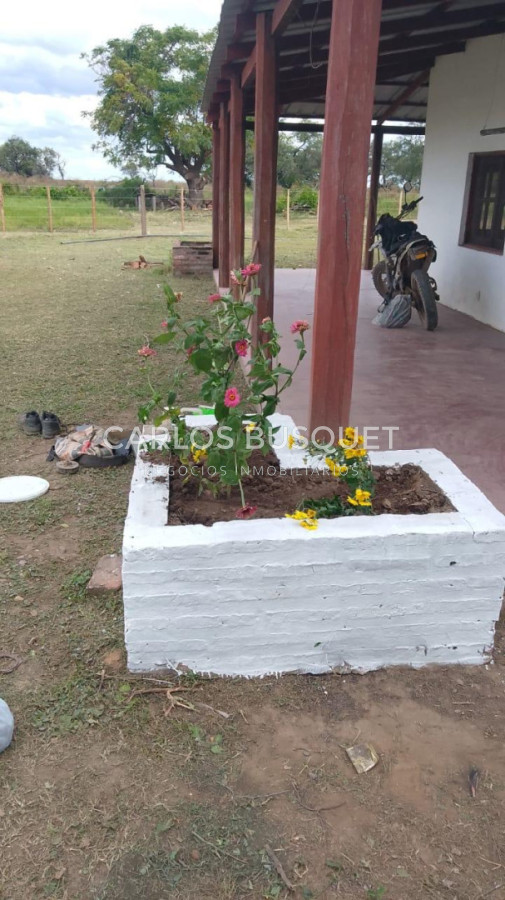 Campo Ref.1701 - Campo ganadero de 1.055 hectáreas en venta en Formosa 