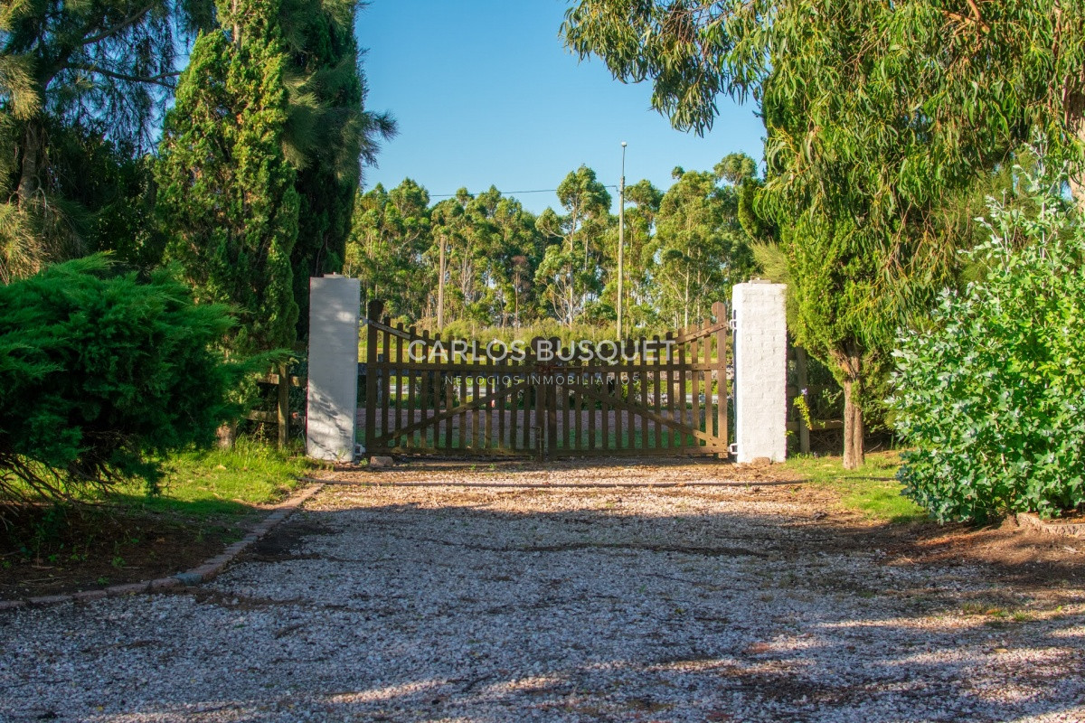 Campo Ref.308 - Campo de 311 has. en venta en zona Pan de Azucar 
