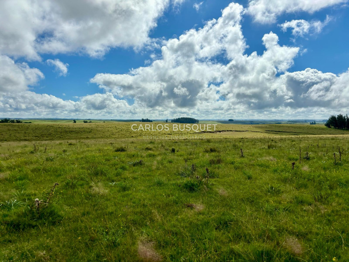 Campo Ref.534 - Campo de 65 has. en venta, en Camino Sainz Martinez, Arco del Sol, Garzon 