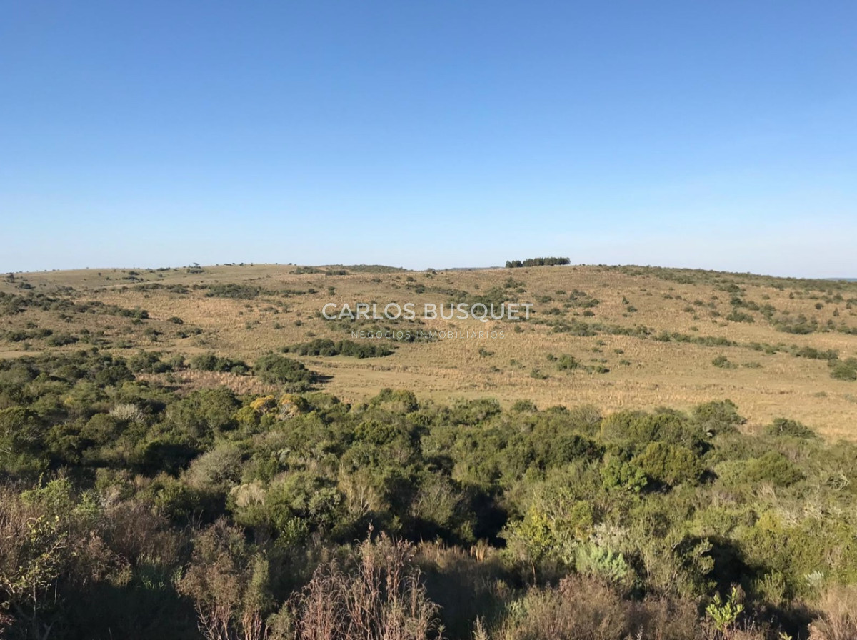 Campo en venta de 2145 has. en Treinta y Tres - Aptitud forestal- ganadero  - CBI314P