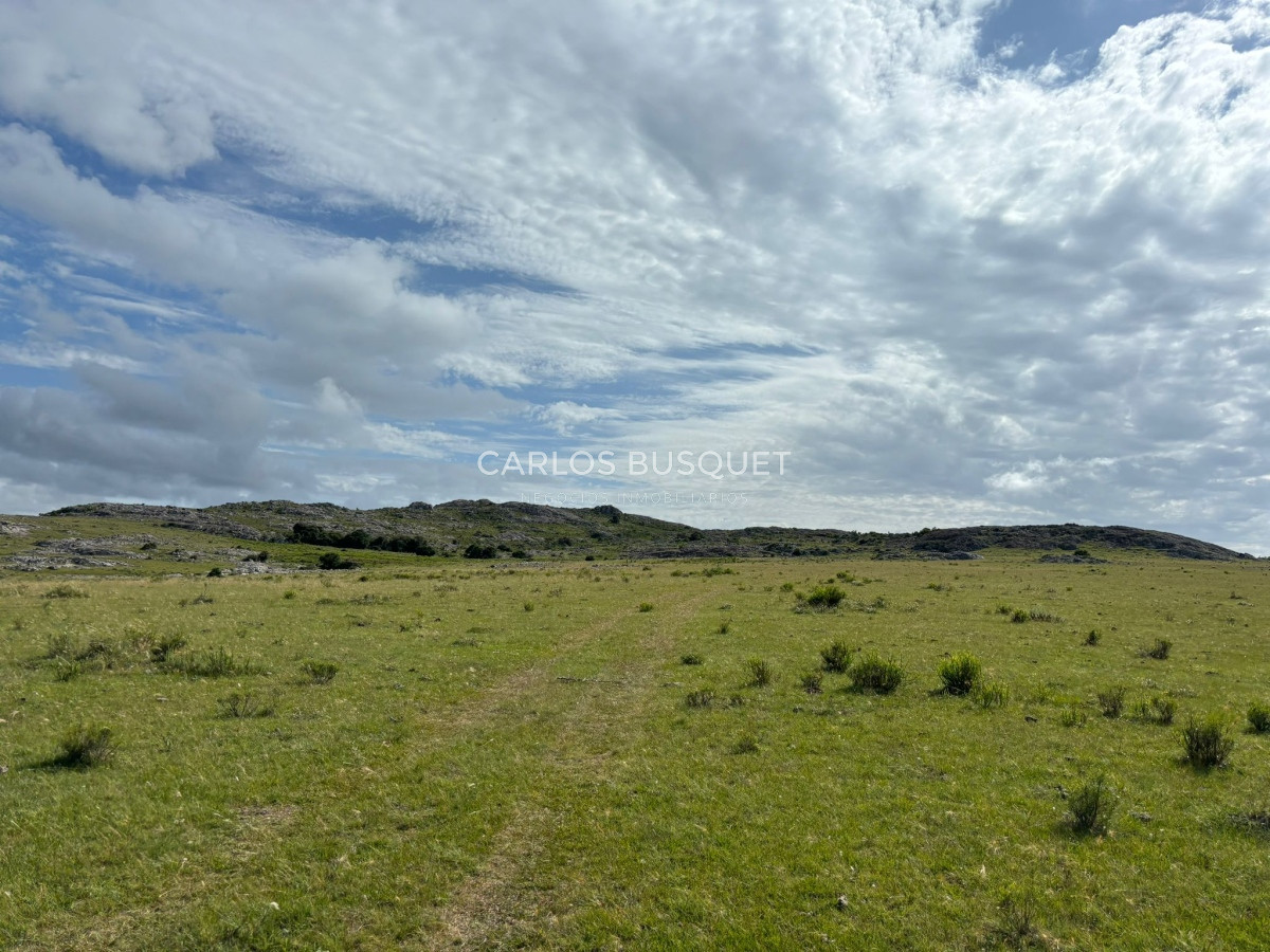 Campo Ref.451 - Campo en venta de 371 has. en Pan de Azúcar 