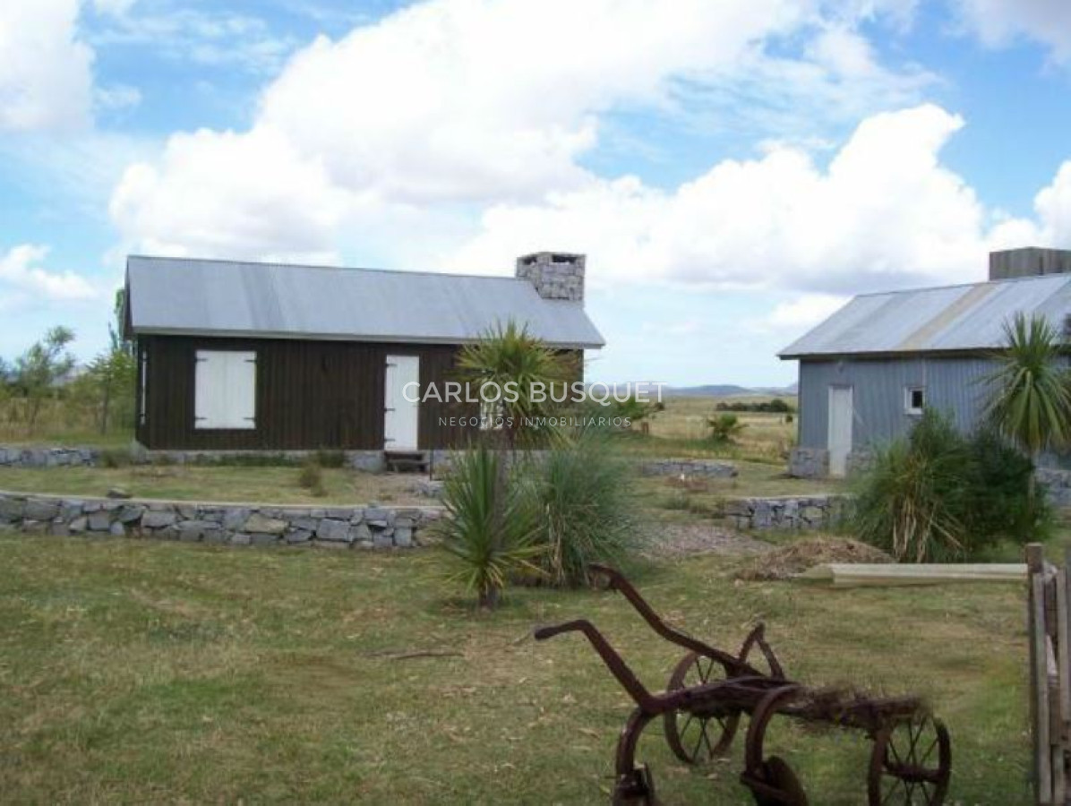 Campo Ref.451 - Campo en venta de 371 has. en Pan de Azúcar 