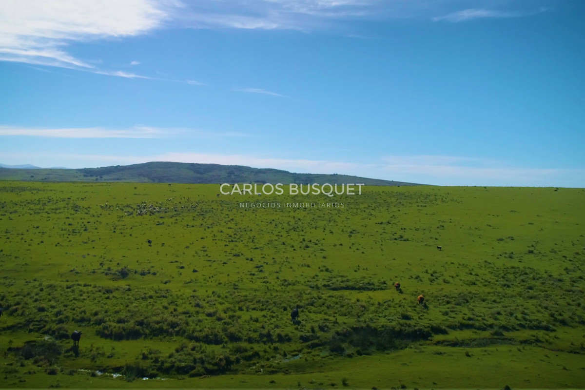 Campo Ref.451 - Campo en venta de 371 has. en Pan de Azúcar 