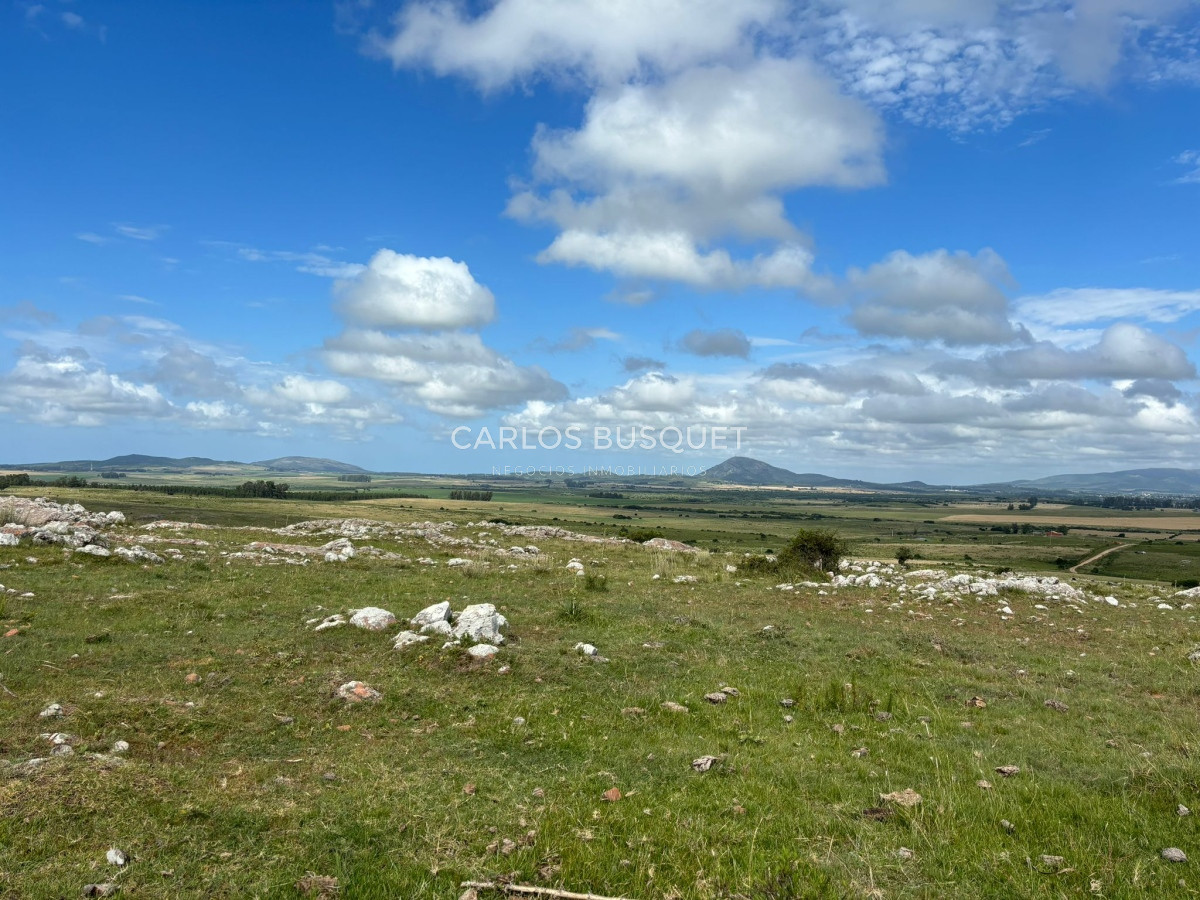 Campo Ref.451 - Campo en venta de 371 has. en Pan de Azúcar 