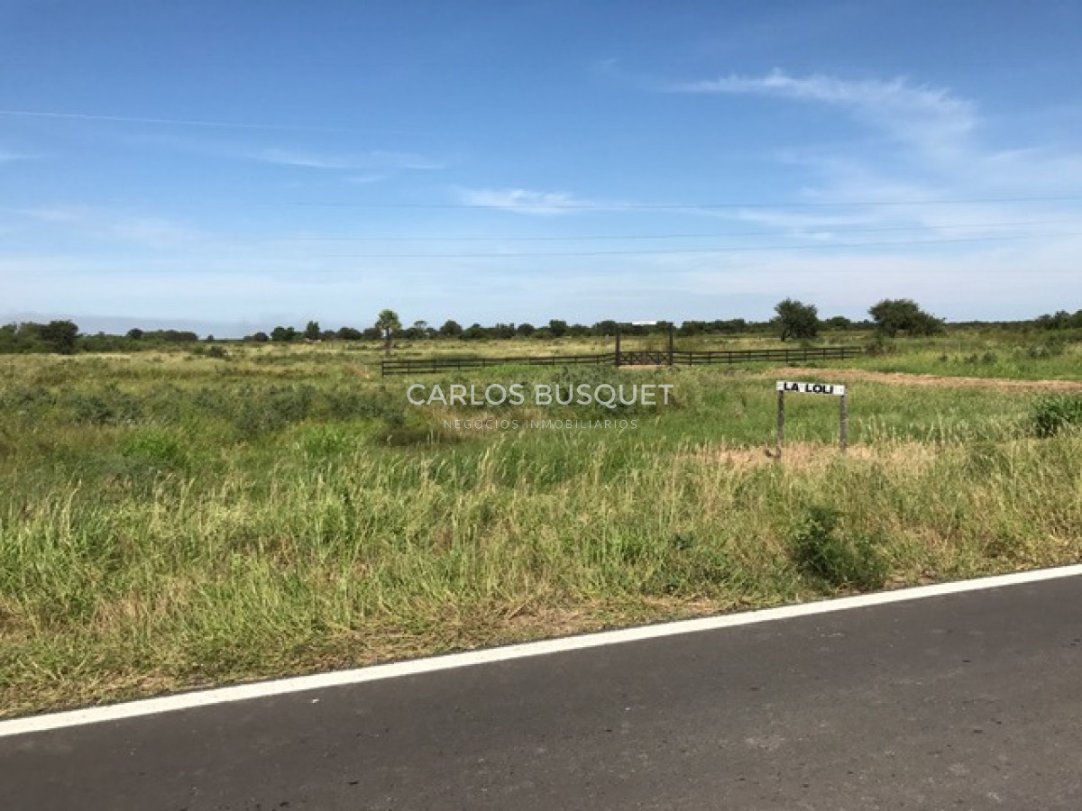 Campo Ref.1701 - Campo ganadero de 1.055 hectáreas en venta en Formosa 