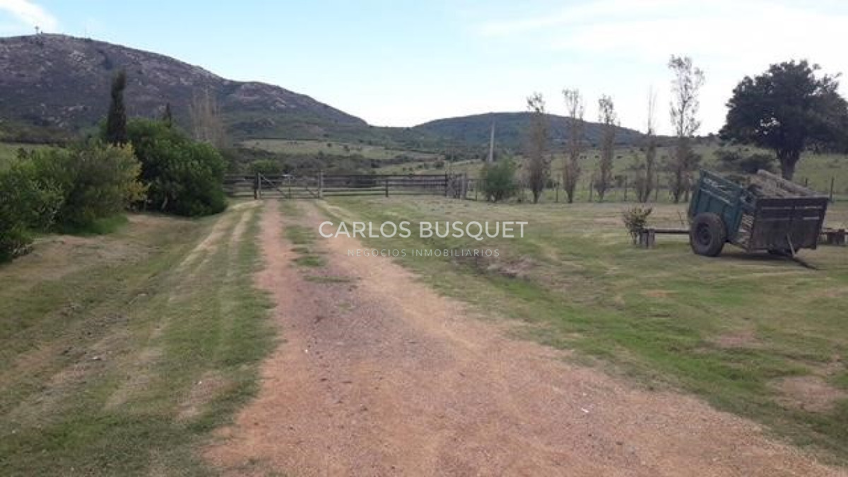Campo Ref.308 - Campo de 311 has. en venta en zona Pan de Azucar 