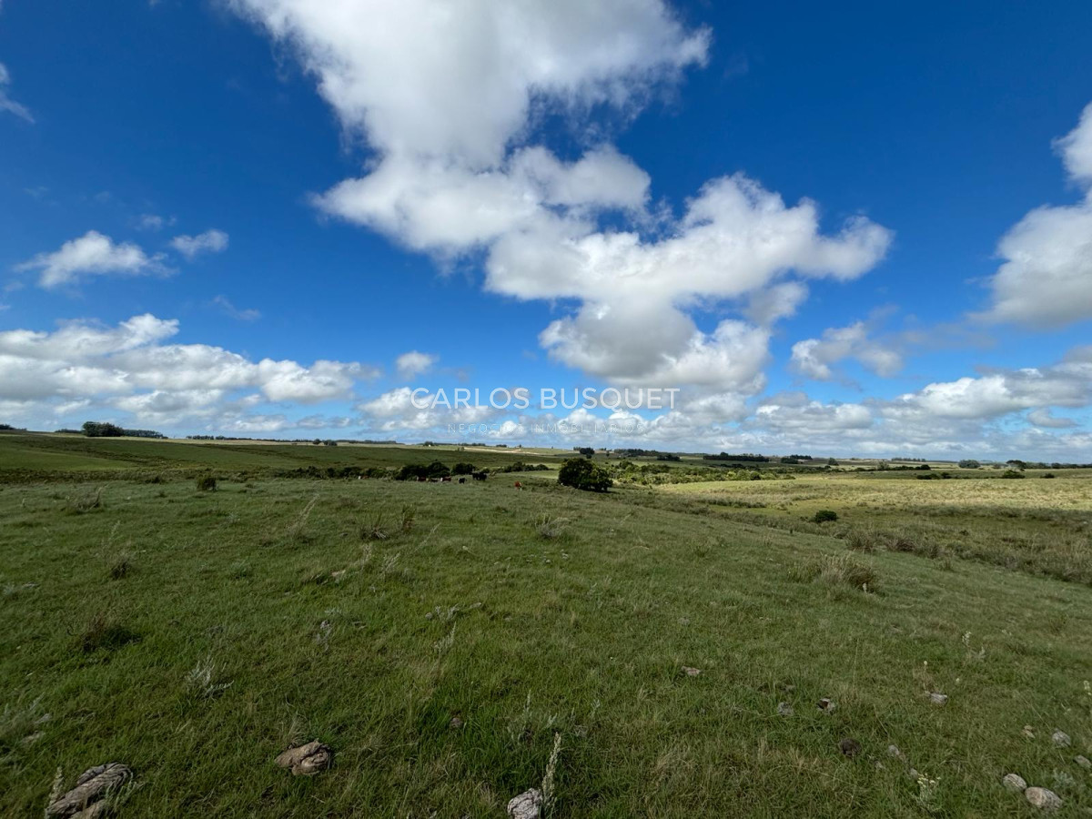 Campo Ref.535 - Campo en venta de 40 has. en Camino Sainz Martinez, Grazon 