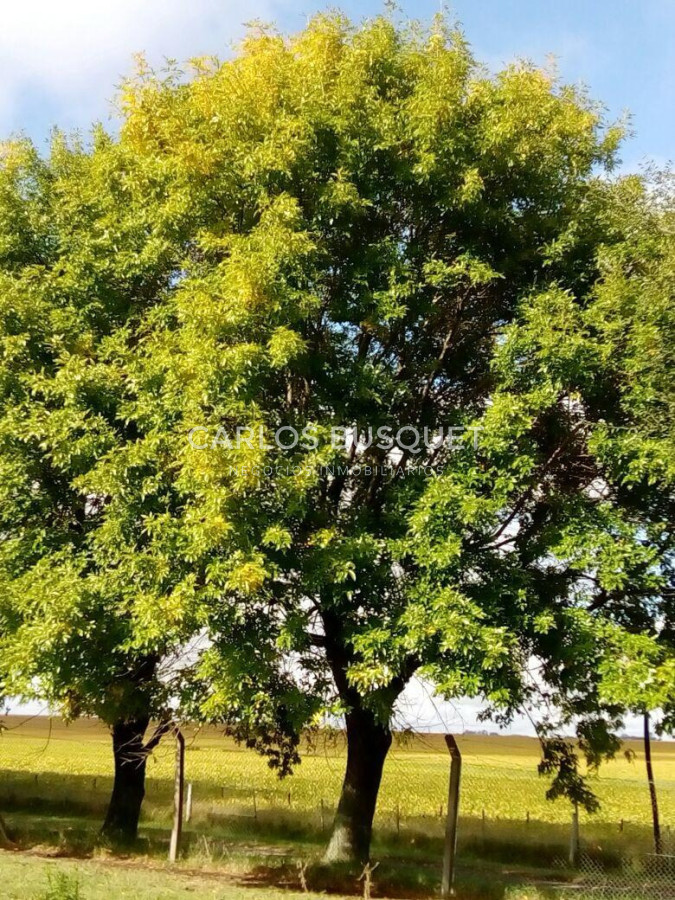 Campo Ref.1702 - Campo de 1.061 has. en venta en Formosa 